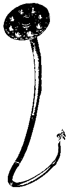 Lure von Brudevaelte
