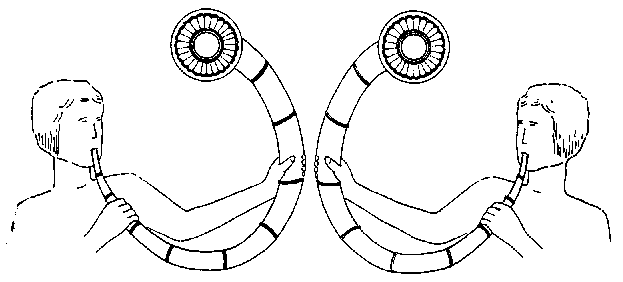 Lurenbl&auml;ser